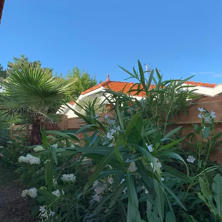 Prázdninový dům Jasmine I I Wifi I Plancha I Jardin Lège-Cap-Ferret